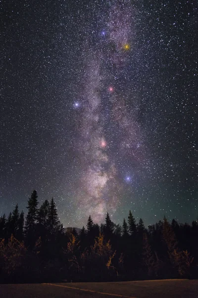 milky way, stars and star field, night sky with small forest and starry skies.