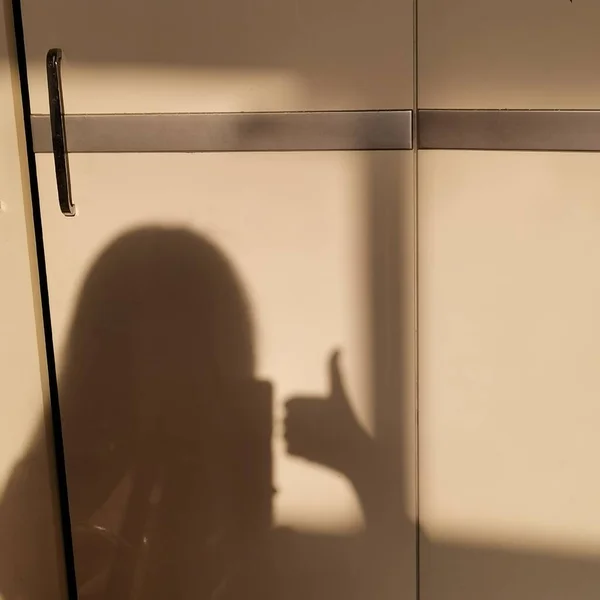silhouette of a woman with a window in the background