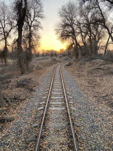 railway tracks on the road