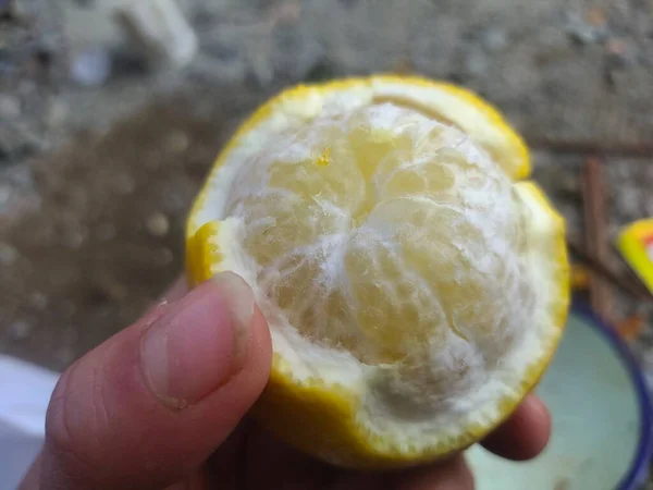 fresh lemon on a white background