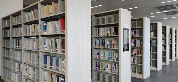 library with books and bookshelves in the background