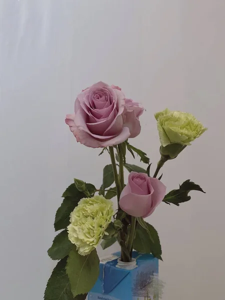 beautiful roses in a vase on a white background