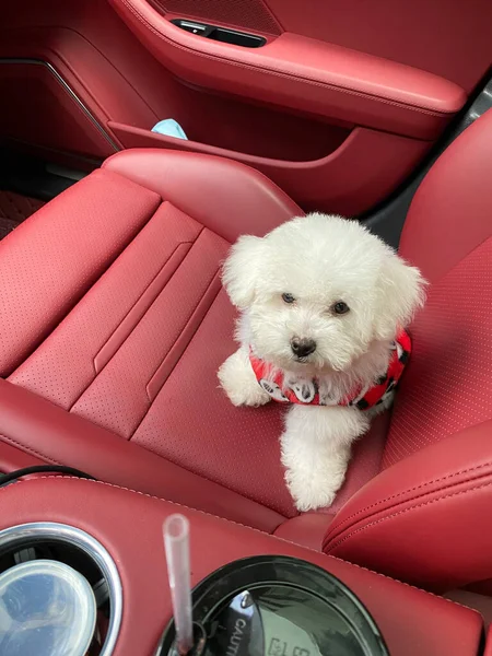 car seat with a red toy
