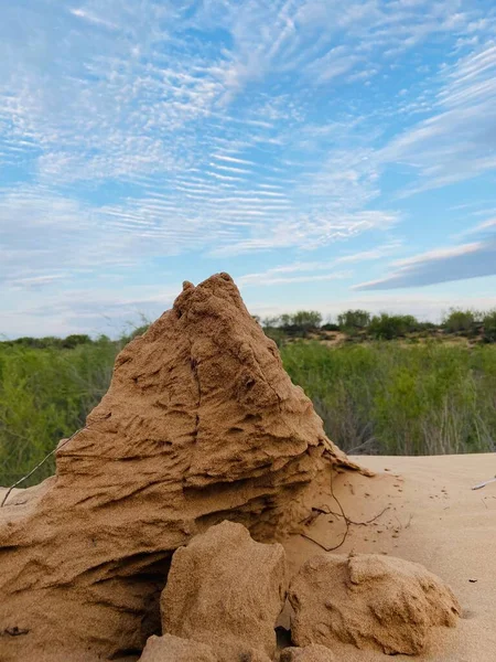 sand and soil in the desert