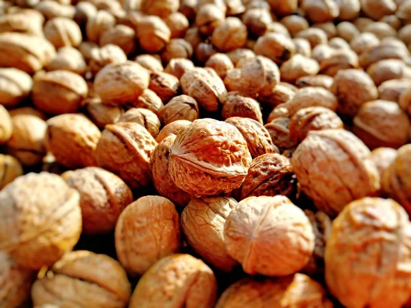 Close Lot Nuts — Stock Photo, Image