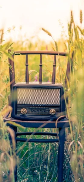 vintage retro radio camera on the grass