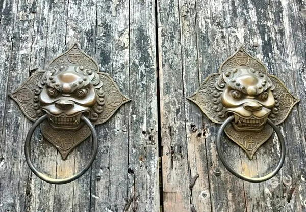 lion head knocker on wooden door