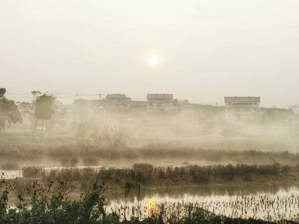 foggy morning fog in the field