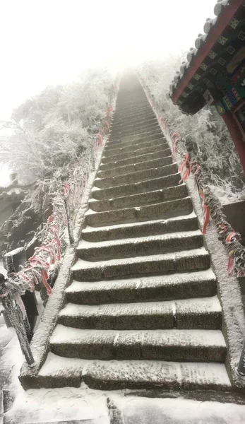 the snow covered stairs in the city