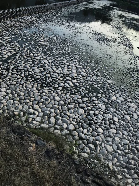 stone pavement with stones and water drops