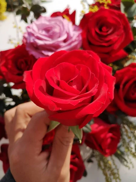 beautiful roses in a flower shop