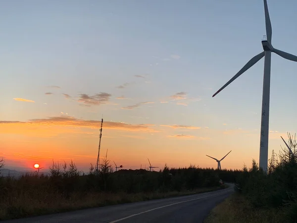 wind turbines in the sunset