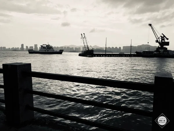 black and white cargo ship in the port