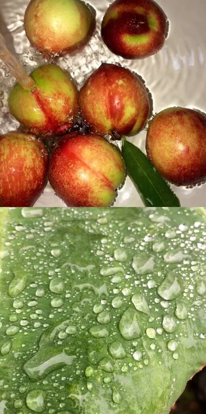 fresh ripe apples on a white background