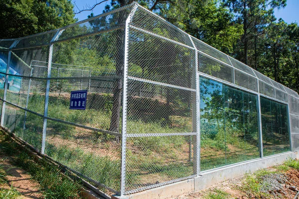 football net in the park