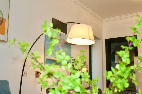 modern interior design with lamp and green leaves