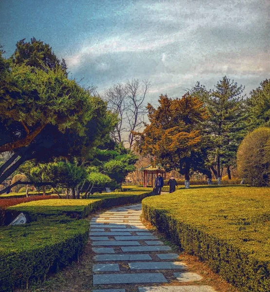 beautiful landscape with a tree and a path
