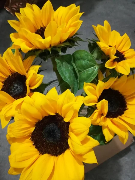 beautiful bouquet of sunflowers on black background