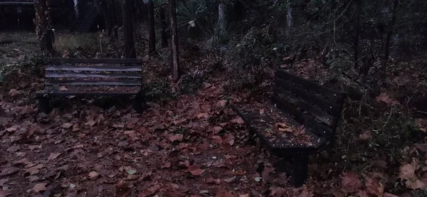 old wooden bench in the park