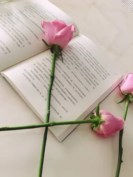 pink roses and a book on a white background