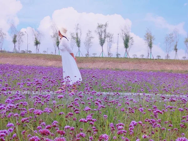 beautiful young woman in a field of lavender