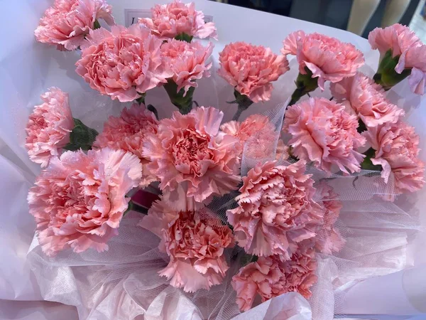 beautiful pink peonies in a vase on a white background