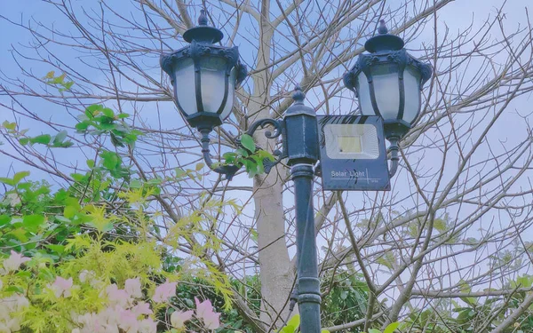 street lamp in the park