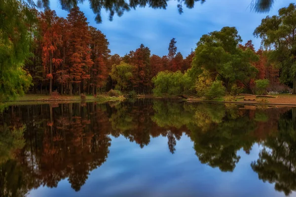 autumn landscape with trees and reflections