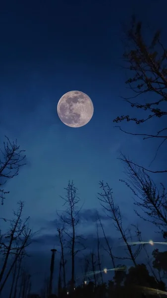 night sky with moon and stars