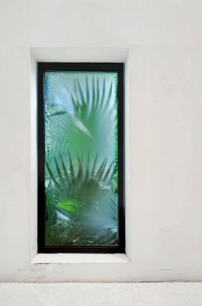 window with green leaves on the wall