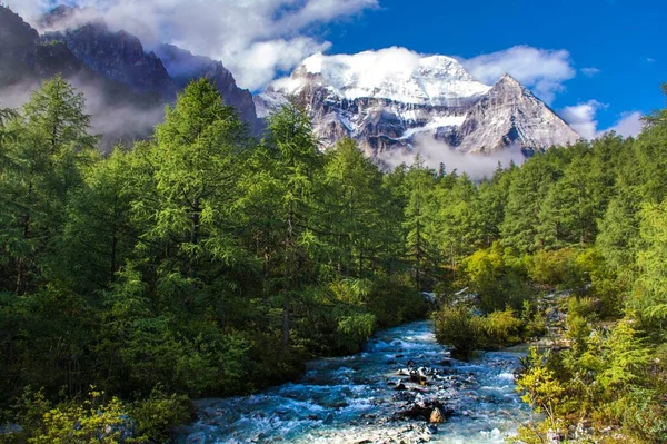 Hermoso Paisaje Con Río Las Montañas — Foto de Stock