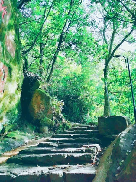 beautiful landscape with a waterfall