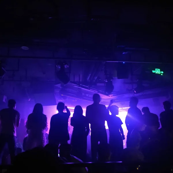 silhouettes of people in the night club