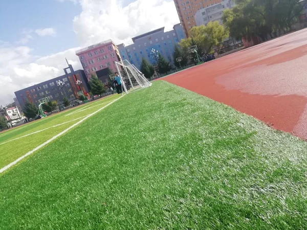 stadium with green grass and a football field
