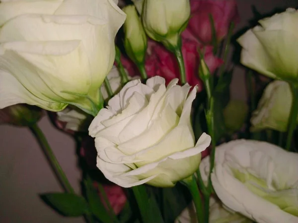 beautiful bouquet of roses in a vase