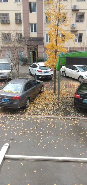 cars parked on the street