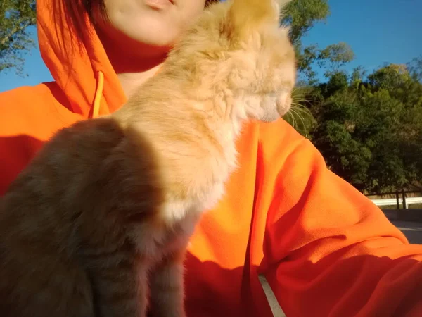 young woman with cat in the park