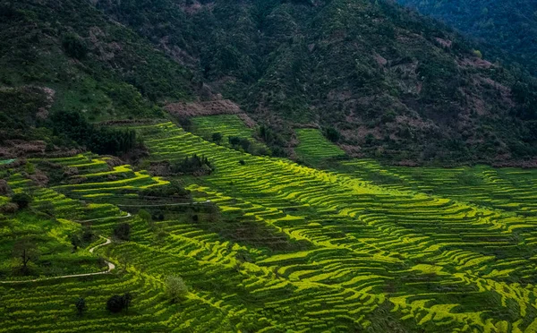 beautiful landscape of the valley of the island of the sacred of banaue in vietnam