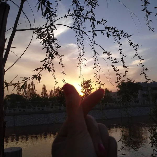 silhouette of a man in a lake