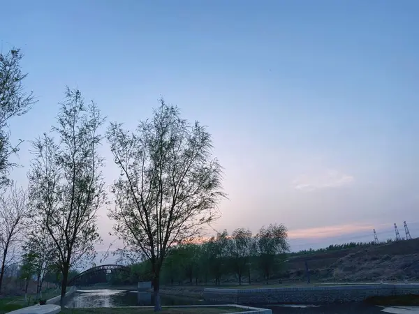 stock image beautiful landscape with a tree and a lake