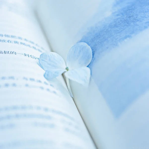 close up of a book with a flower