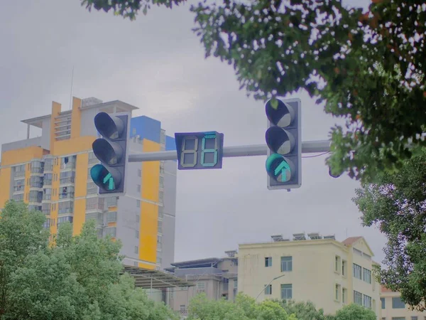 traffic signal in the city
