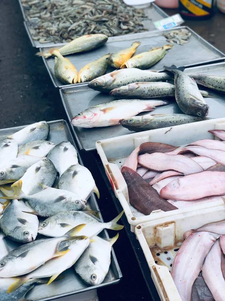 fresh fish in market