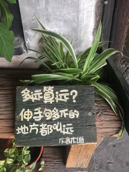 green chalkboard with fresh herbs and spices on wooden background