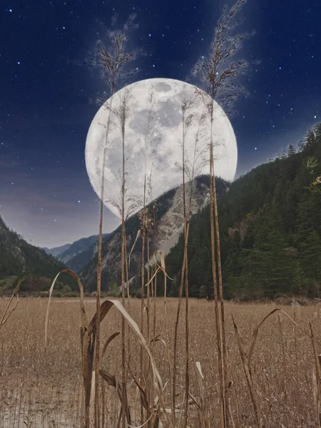 night view of the moon and mountains