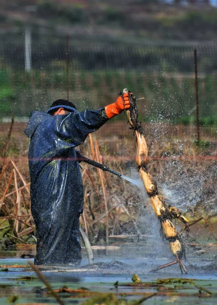 man with a sword in the water