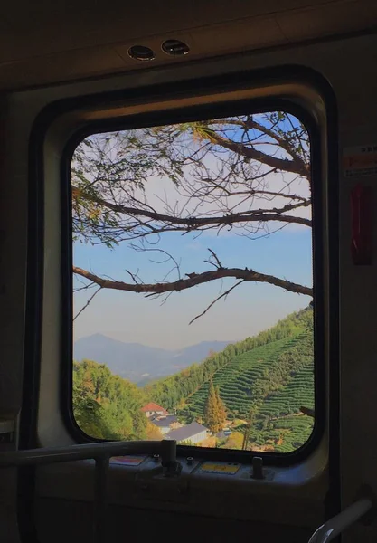 view of the window of the train in the mountains