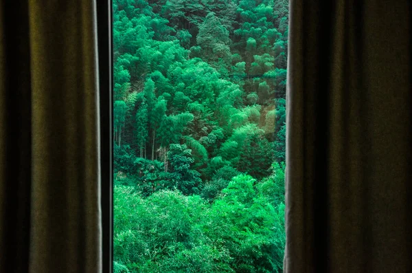 beautiful underwater landscape with a window