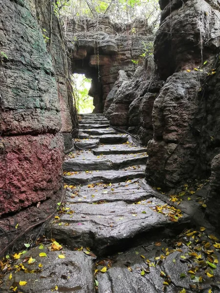 stone stairs in the forest