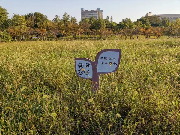 a vertical shot of a road lamp on a meadow